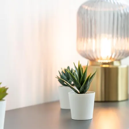 Modern Retreat 2 In By Lovelystay Apartment Distrikt Faro
